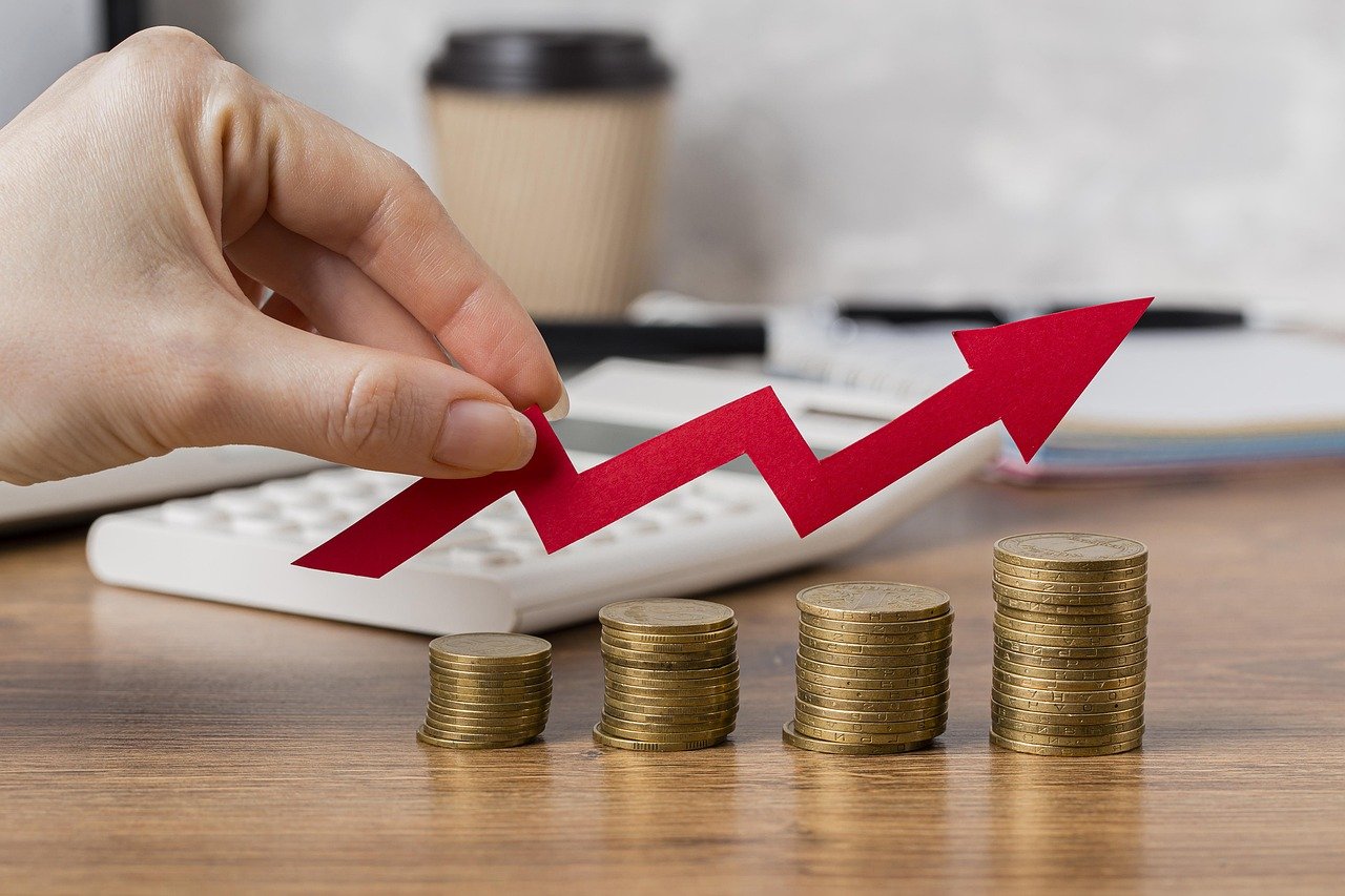 Los Objetivos Economicos son?